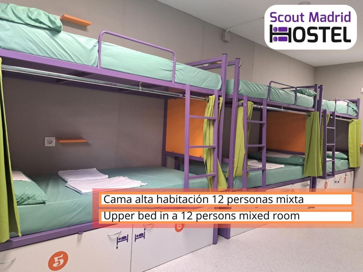 Bed in 12-Bed Mixed Dormitory Room with Shared Bathroom,712171489:JPEG